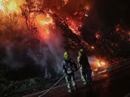 Damnificada relata el horror de los incendios en La Araucanía: "fue un infierno".