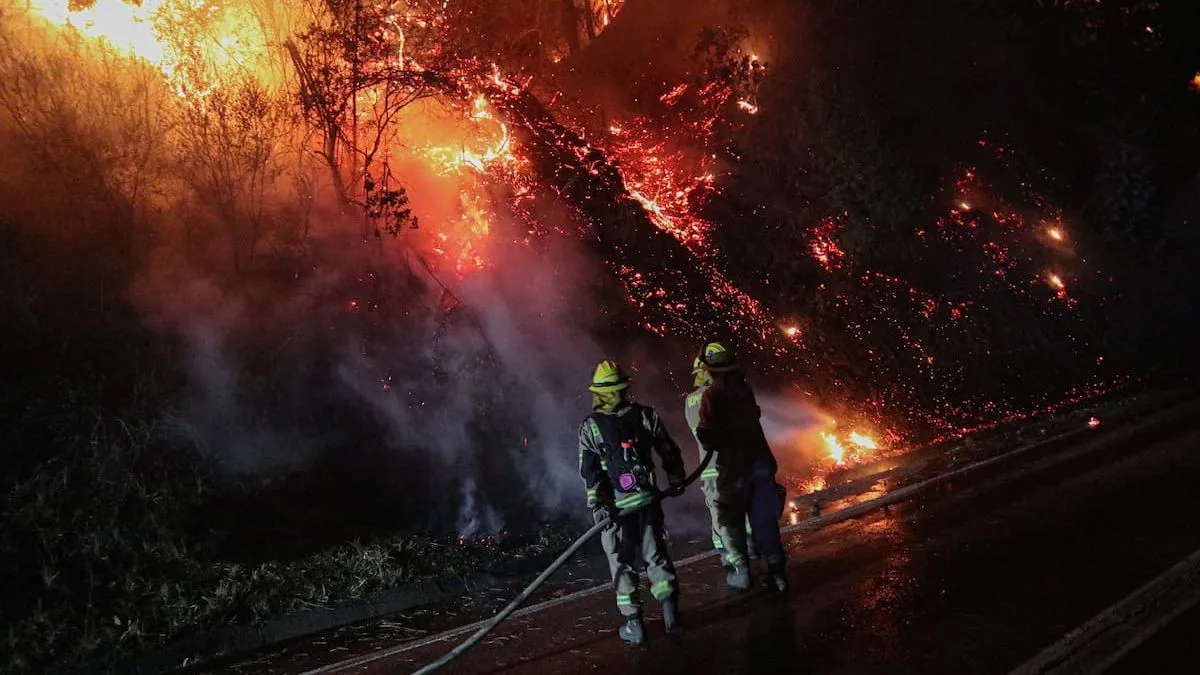 Damnificada relata el horror de los incendios en La Araucanía: "fue un infierno".