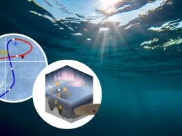 Científicos advierten sobre una inquietante anomalía radioactiva en el Pacífico.
