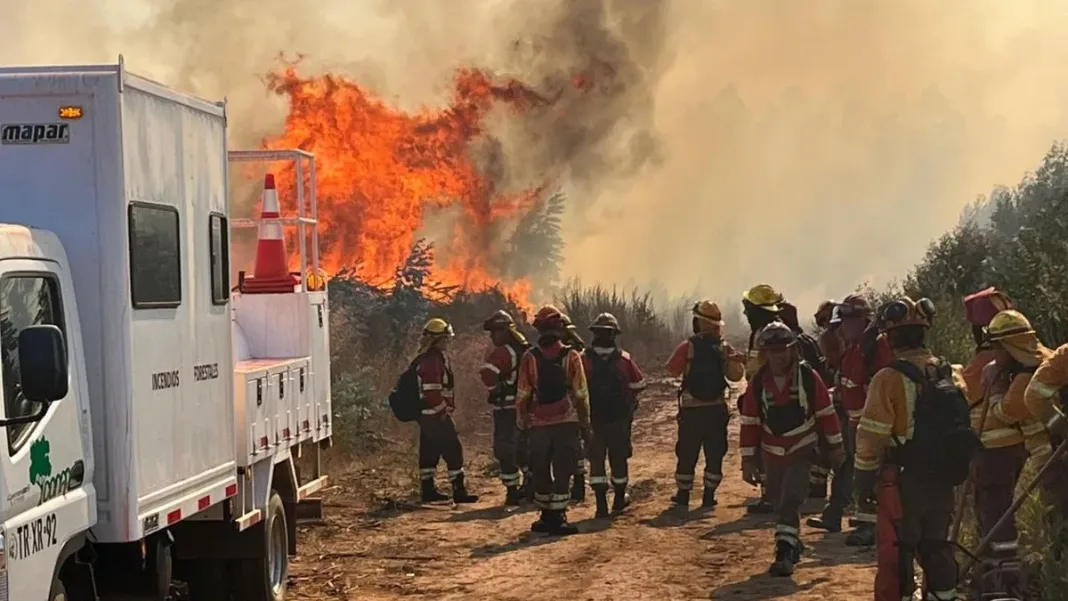 Medidas contra incendios en Bío Bío: patrullajes mixtos y prohibición de drones.