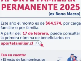 Verifica tu RUT para saber si recibes el segundo pago del bono marzo.