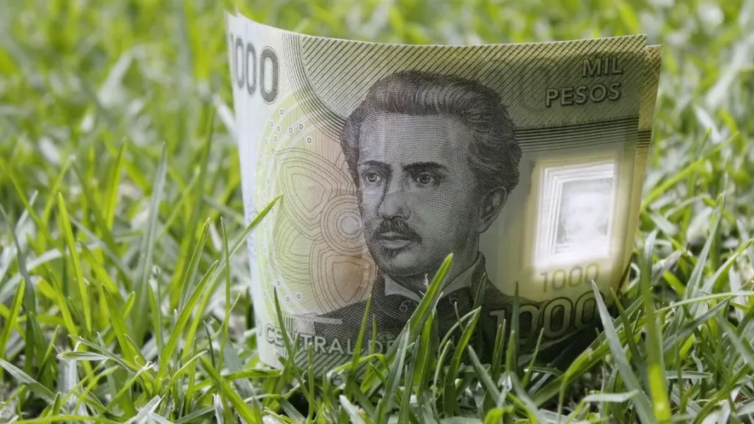 Bono por Hijo en Chile: Impacto en pensiones y fechas de cobro para madres. Bono por Hijo en Chile: Impacto en pensiones y fechas de cobro para madres.