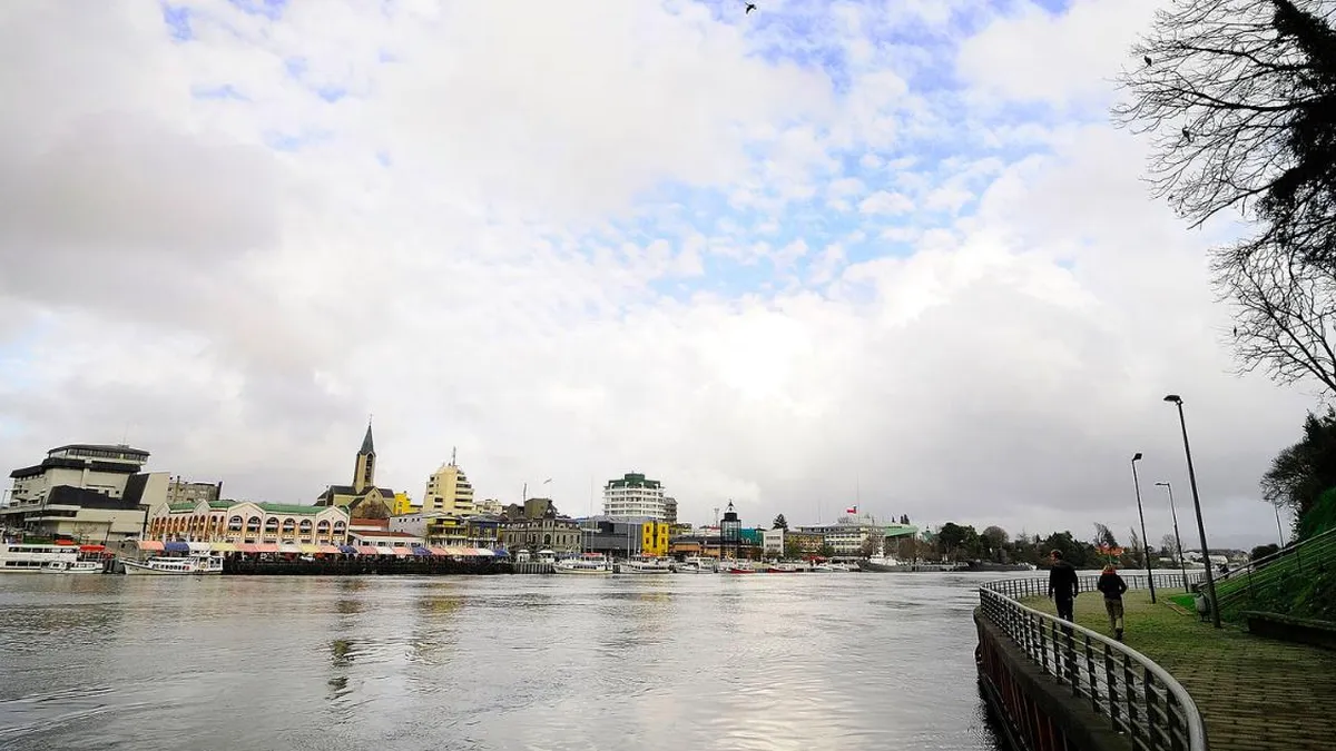 DGA inicia fiscalizaciones tras denuncias sobre el río Calle Calle.