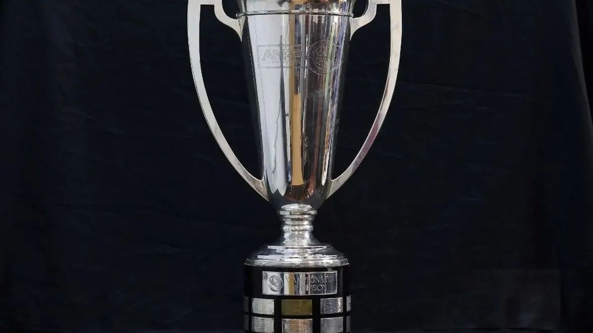 Gala del Festival de Viña 2025: Estrellas