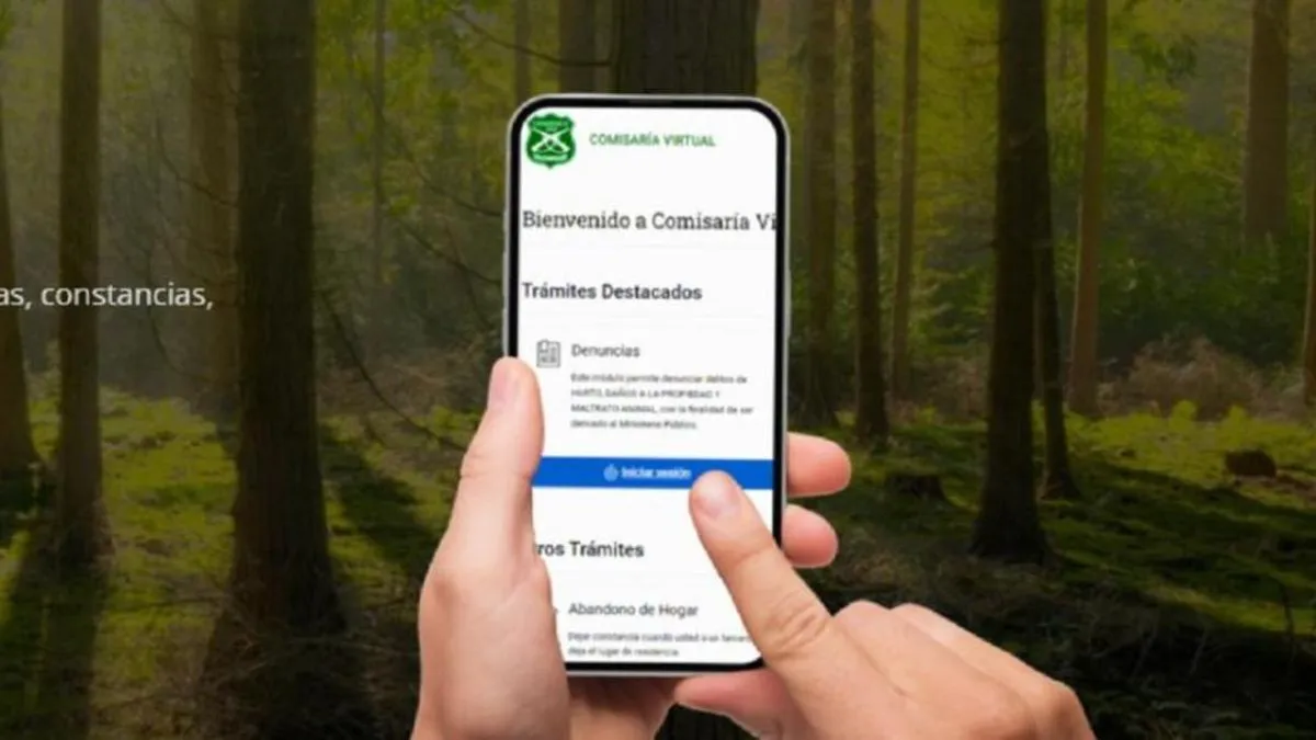 Carabineros habilita Comisaría Virtual para salvoconductos en toque de queda. Carabineros habilita Comisaría Virtual para salvoconductos en toque de queda.