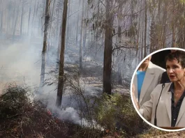 Ministra Tohá lamenta muerte de mujer de 82 años en incendio en Curepto; prevención es clave.