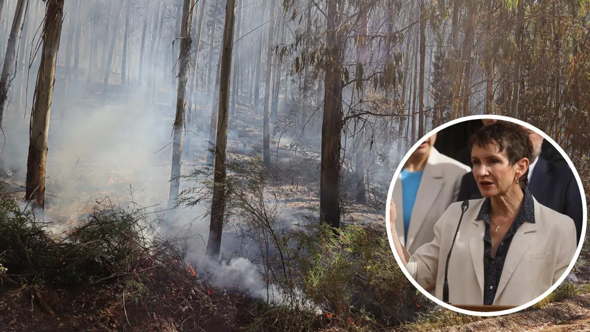 Ministra Tohá lamenta muerte de mujer de 82 años en incendio en Curepto; prevención es clave.