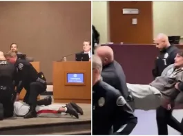 Operativo en Peñaflor: PDI captura a delincuentes y descubre dinero oculto.