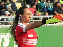 Cindy Nahuelcoy denuncia la grave situación en Cesfam tras ataque de perro a su padre.