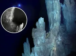 Descubren la ‘Ciudad Perdida’ en el océano: un ecosistema sorprendente y enigmático.