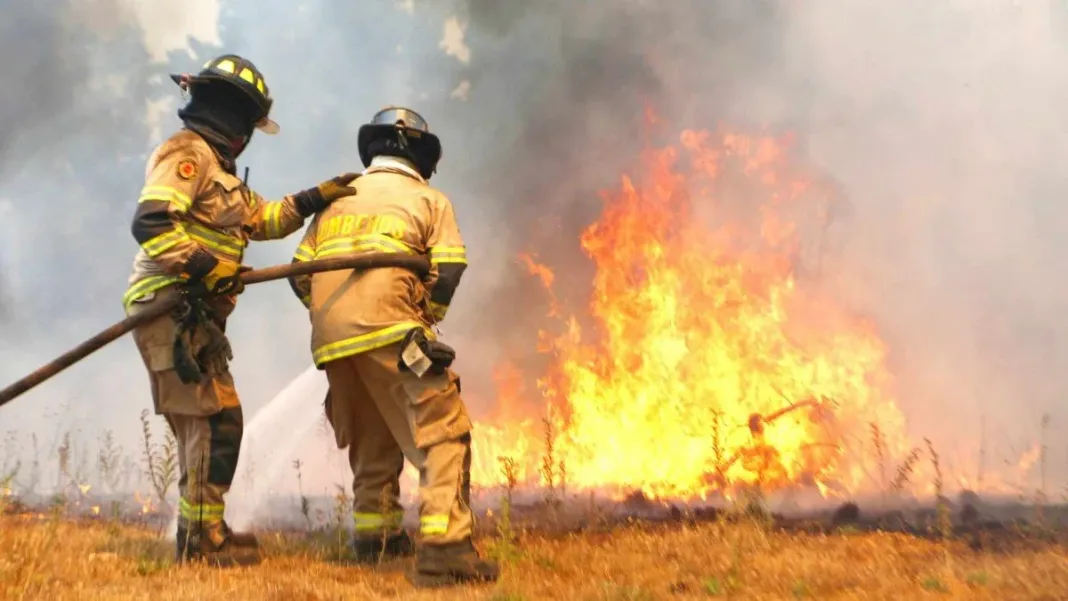 Incendios en el sur: 16 siniestros activos y aumento leve de hectáreas afectadas.
