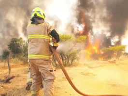 Incendios en el sur: 22 siniestros activos y 14
