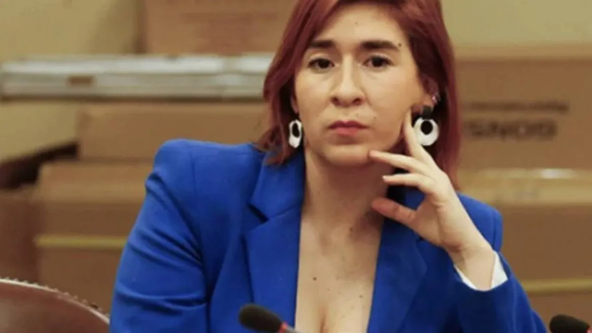 Corte de Apelaciones aprueba el desafuero de la diputada Catalina Pérez.