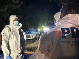 Cuerpo de mujer hallado en Chiloé; presunto autor se entrega espontáneamente.