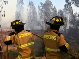 La ministra Tohá expresa su apoyo tras la tragedia en Curepto.
