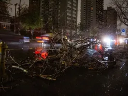 Corte de luz en Chile: causa oficial es una desconexión no deseada.