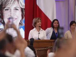 Senadores de RN expresan preocupación por el equipo de Evelyn Matthei.