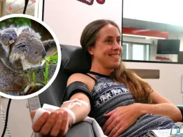 Veterinaria transforma vidas en Australia con una pregunta clave para los animales.