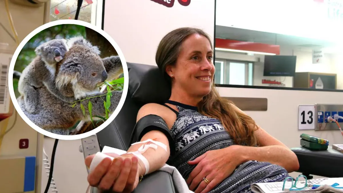 Veterinaria transforma vidas en Australia con una pregunta clave para los animales. Veterinaria transforma vidas en Australia con una pregunta clave para los animales.