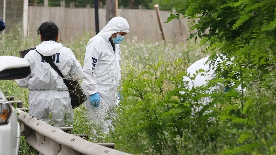 Dos guardias de fundo en prisión preventiva tras matar a un hombre por robar limones.