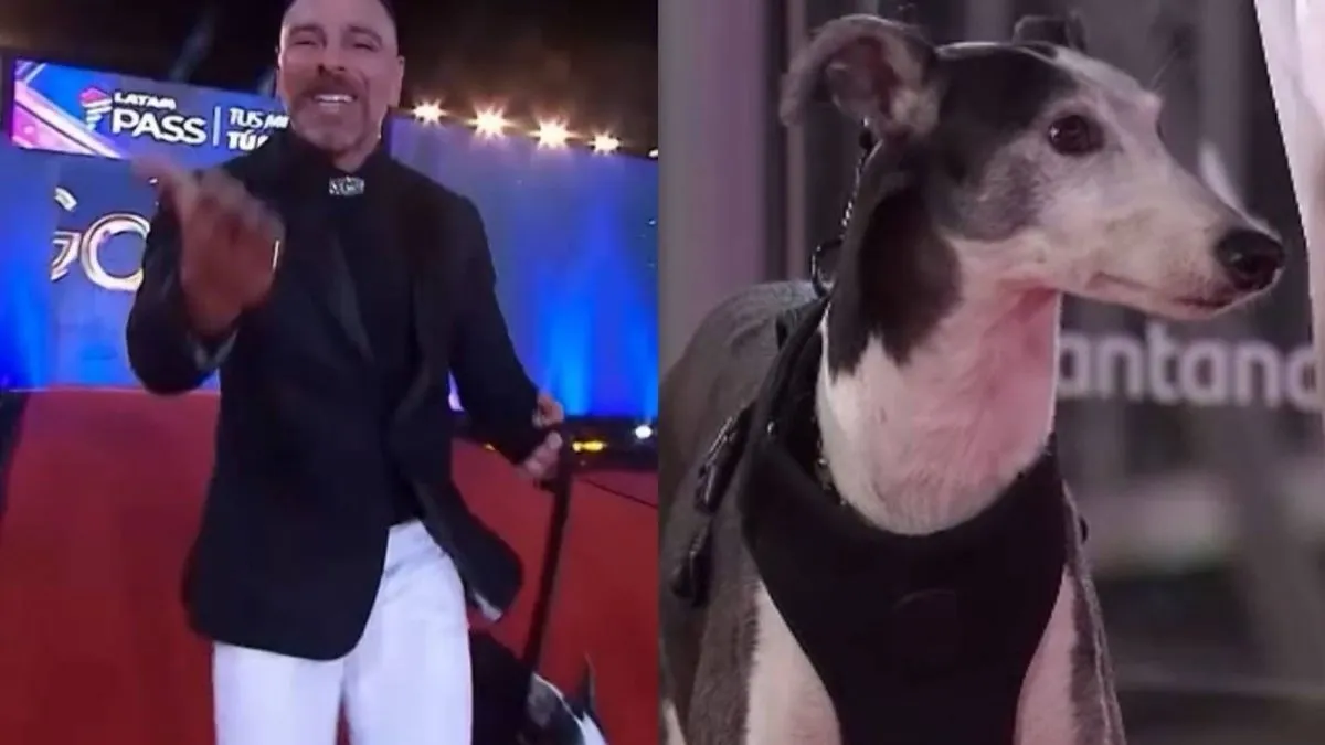 José Antonio Neme y su inesperado compañero brillan en la Gala.