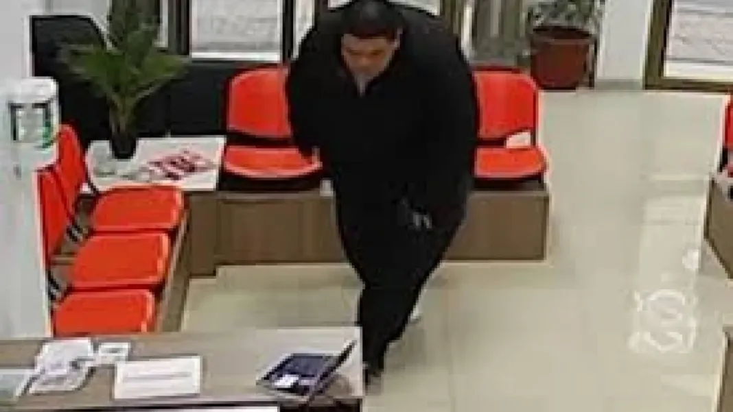 El astuto "Guatón Ladrón": un maestro del sigilo y la agilidad en su arte.