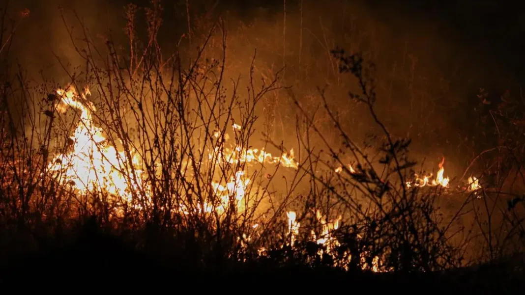 Mundo agrícola exige acciones urgentes contra incendios que amenazan cultivos.