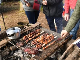 Multa por incendios forestales: hasta $1 millón para quienes causen asados peligrosos.