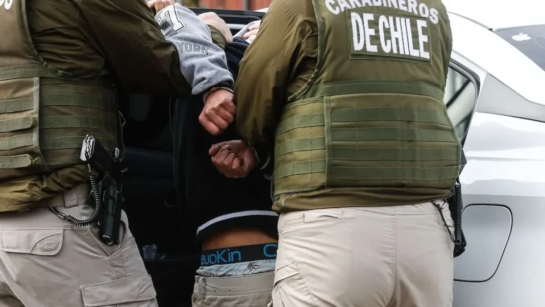 Detienen a 29 por robar 45 mil kilos de carne en Lampa.