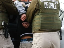 Detienen a 29 por robar 45 mil kilos de carne en Lampa.