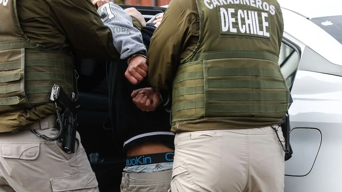 Detienen a 29 por robar 45 mil kilos de carne en Lampa. Detienen a 29 por robar 45 mil kilos de carne en Lampa.