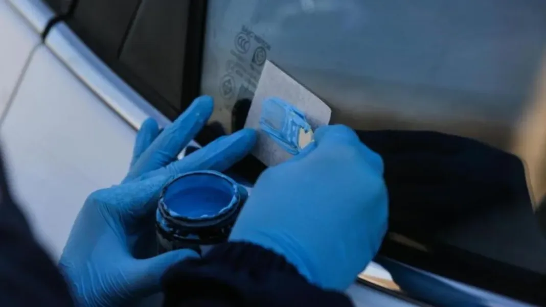 Nueva Ley de Tránsito 2024: Grabado de patentes