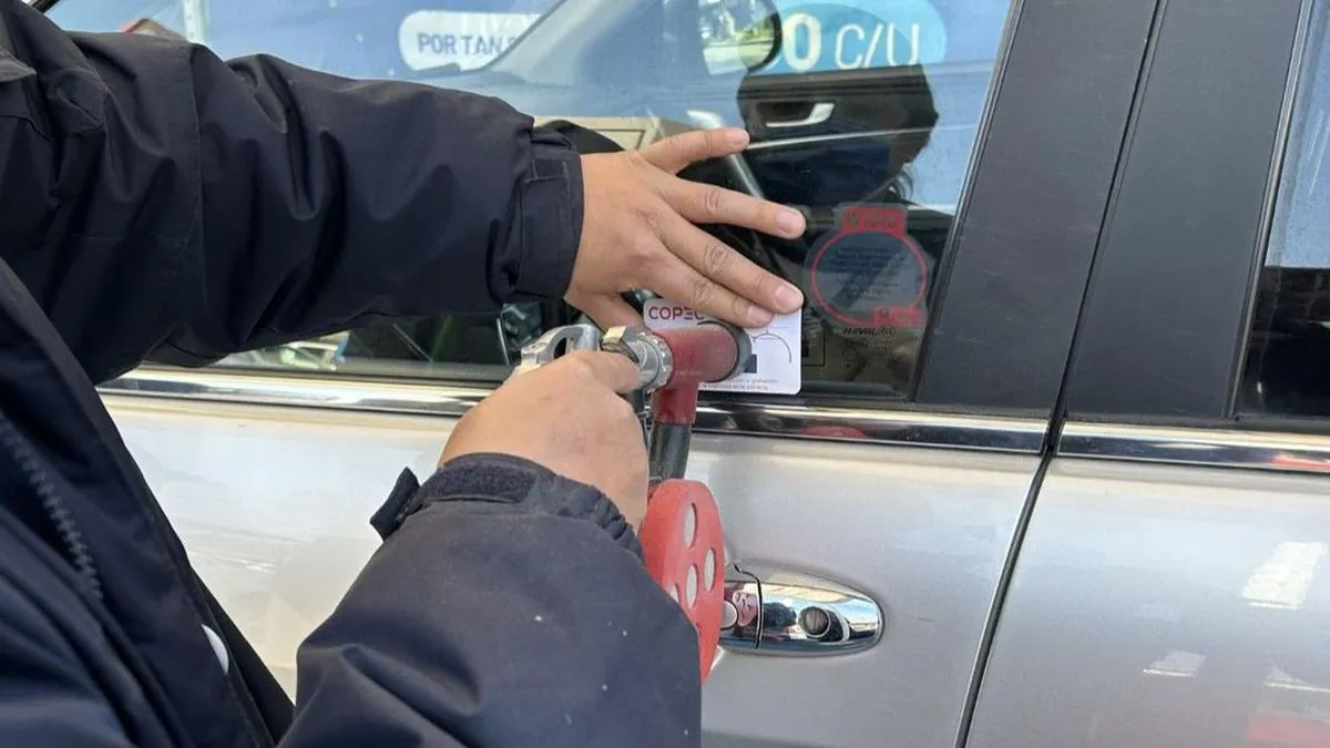 Ley 21.601 en Chile: Protegiendo vehículos con el registro obligatorio de patentes.