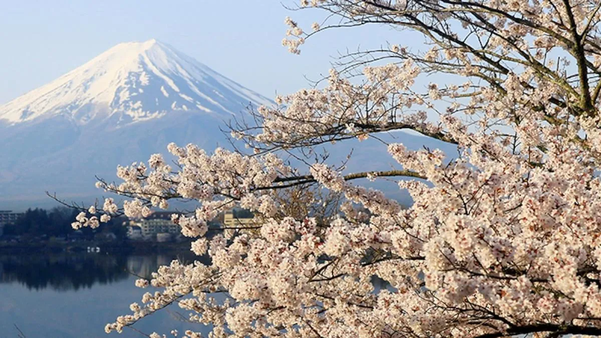 Descubre los 8 destinos más seguros y accesibles para viajar solo.