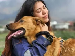 La crisis en refugios: solo 1 de cada 10 perros encuentra un hogar.