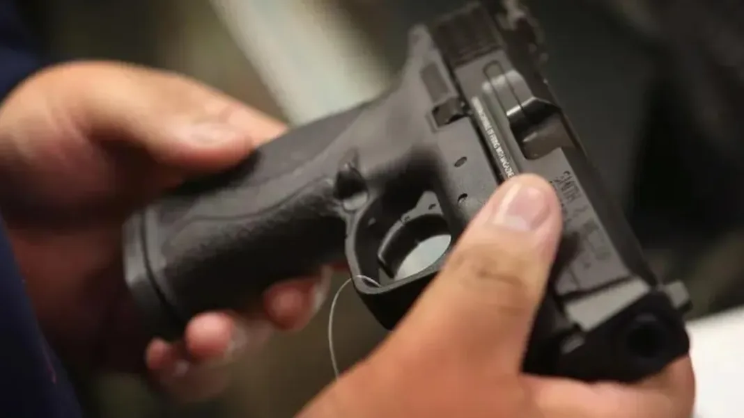 Delincuentes sustraen siete armas de fuego de una vivienda en Osorno.