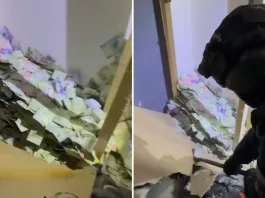 Narco alcancía gigante: $27 millones ocultos en Padre Hurtado por grupo delictual.