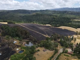 Incendio forestal en Purranque arrasa 49 hectáreas