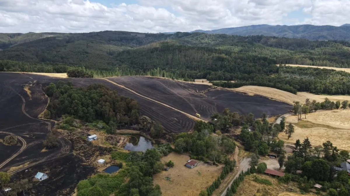 Incendio forestal en Purranque arrasa 49 hectáreas Incendio forestal en Purranque arrasa 49 hectáreas