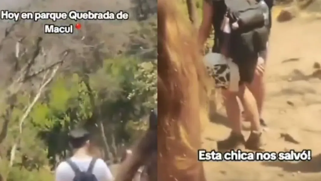 Mujer enfrenta a sospechoso y evita incendio en quebrada Macul. ¡Heroína!