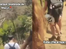 Mujer enfrenta a sospechoso y evita incendio en quebrada Macul. ¡Heroína!