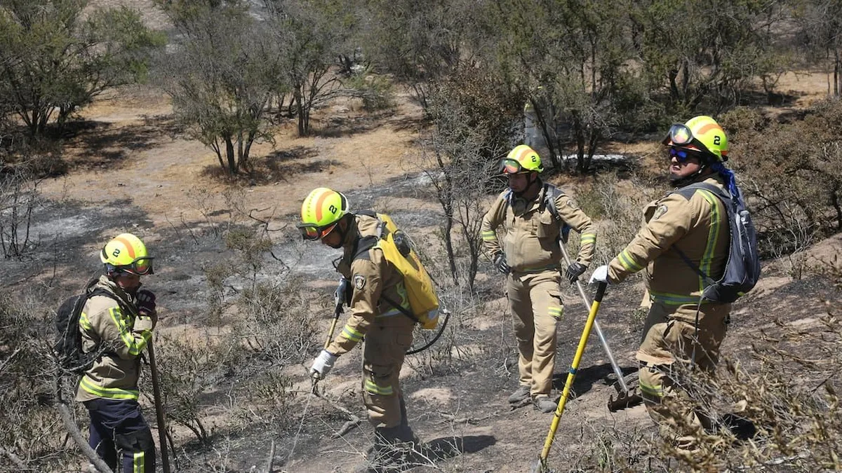 Dos bomberos en prisión preventiva por incendios forestales en Melipilla.