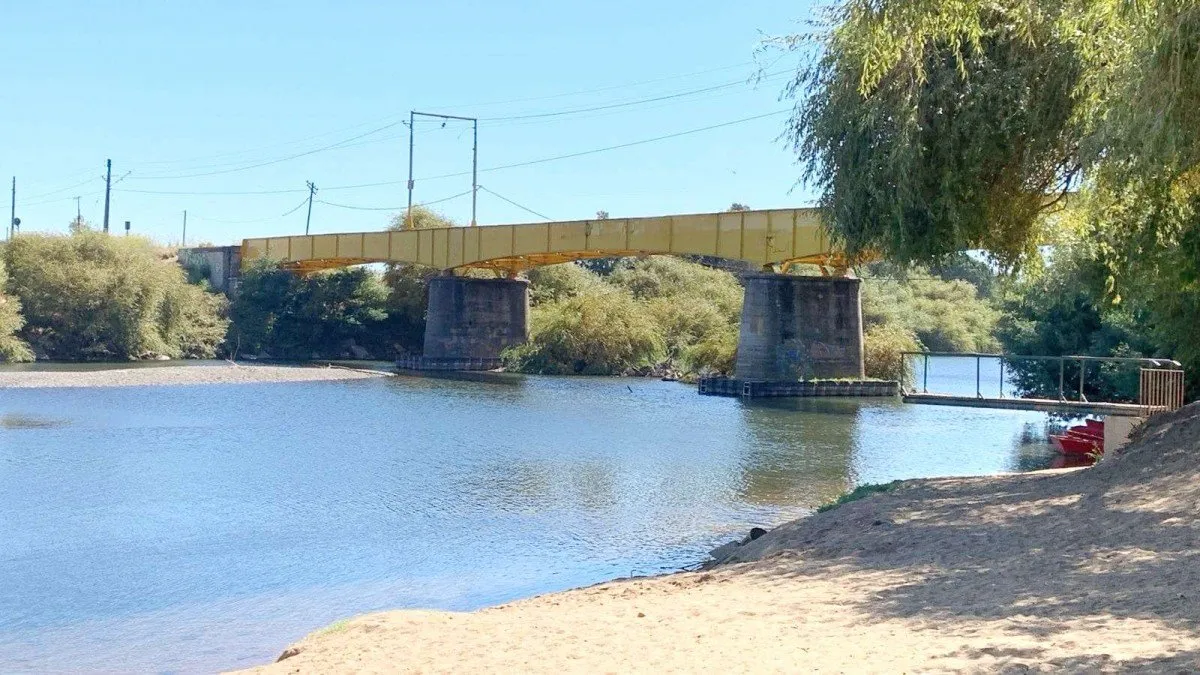 Tragedia en Renaico: joven de 19 años se lanza desde un puente ferroviario.
