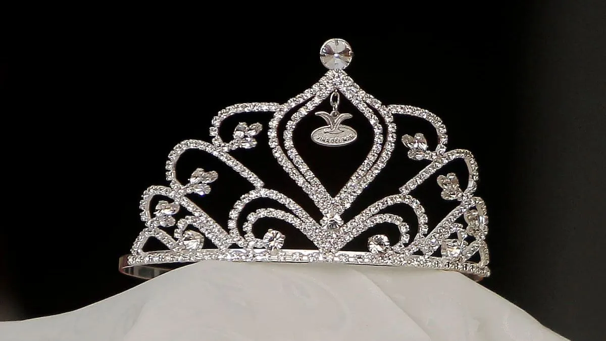 Festival de Viña 2025: candidatos a rey y reina del certamen en la Ciudad Jardín.