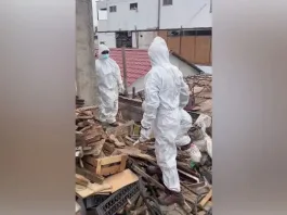 Retiran 72 toneladas de basura en Arica tras alerta por mal de Diógenes.