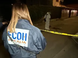 Hombre en riesgo vital tras recibir un disparo en la cabeza en Puente Alto.