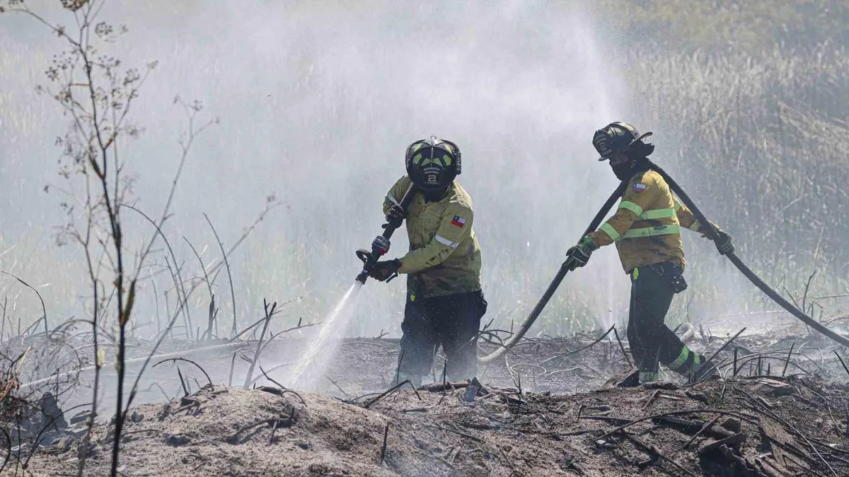 Incendios en Chile: 22 siniestros activos y 10 mil hectáreas devastadas.