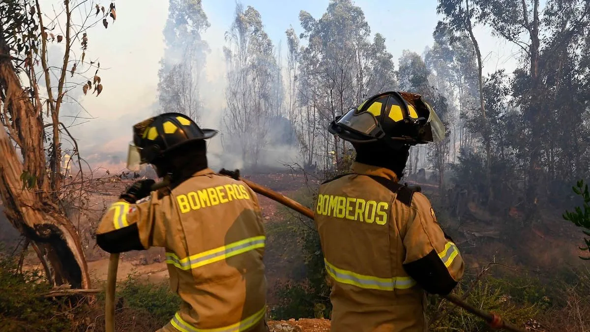 Senapred declara Alerta Roja en Corral por incendio forestal en la región.