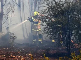Alerta Roja en Negrete por incendio forestal en La Araucanía.
