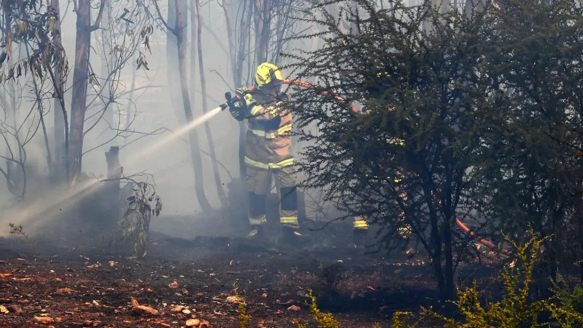 Alerta Roja en Negrete por incendio forestal en La Araucanía. Alerta Roja en Negrete por incendio forestal en La Araucanía.